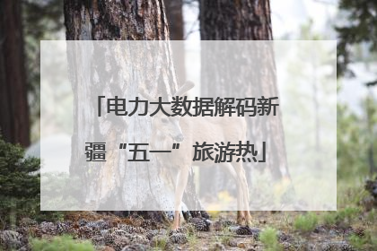 电力大数据解码新疆“五一”旅游热