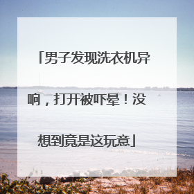 男子发现洗衣机异响，打开被吓晕！没想到竟是这玩意