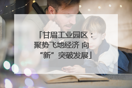 甘眉工业园区：聚势飞地经济 向“新”突破发展
