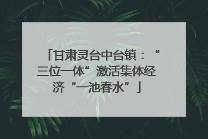 甘肃灵台中台镇：“三位一体”激活集体经济“一池春水”