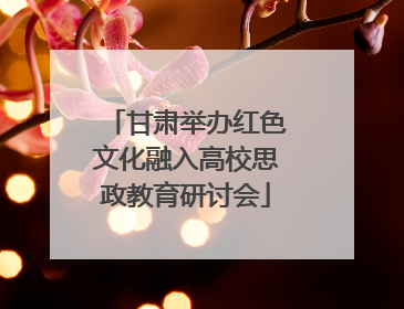 甘肃举办红色文化融入高校思政教育研讨会