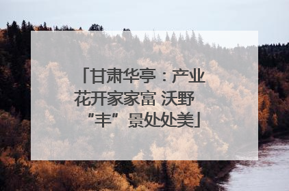 甘肃华亭：产业花开家家富 沃野“丰”景处处美