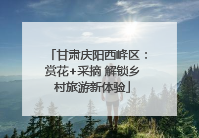 甘肃庆阳西峰区：赏花+采摘 解锁乡村旅游新体验