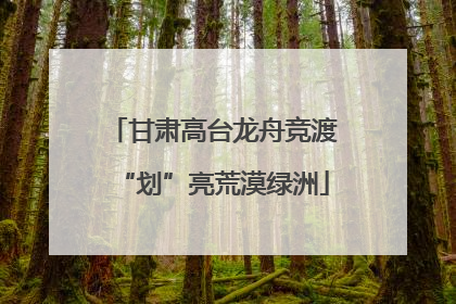 甘肃高台龙舟竞渡“划”亮荒漠绿洲