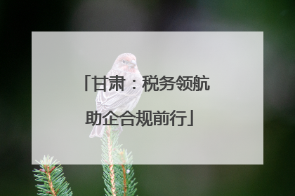 甘肃：税务领航 助企合规前行