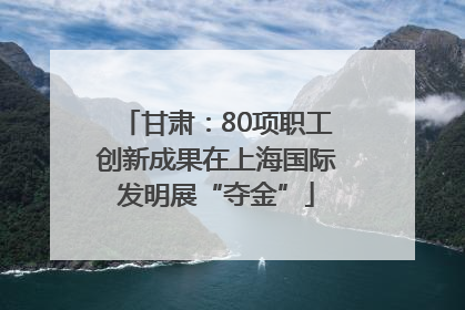 甘肃：80项职工创新成果在上海国际发明展“夺金”