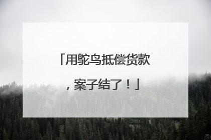 用鸵鸟抵偿货款，案子结了！