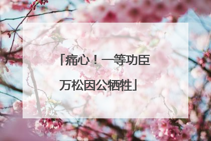 痛心！一等功臣万松因公牺牲