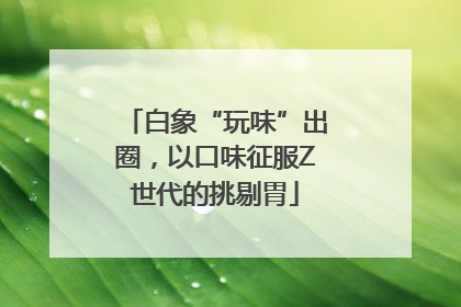 白象“玩味”出圈，以口味征服Z世代的挑剔胃