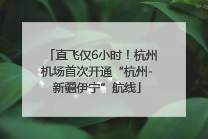 直飞仅6小时！杭州机场首次开通“杭州-新疆伊宁”航线