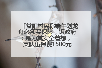 益阳村民称端午划龙舟必须买保险，镇政府：是为其安全着想，一支队伍保费1500元到2500元