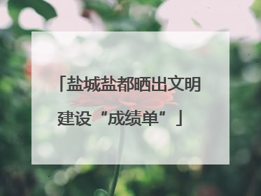 盐城盐都晒出文明建设“成绩单”