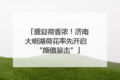 盛夏荷香浓！济南大明湖荷花率先开启“颜值暴击”