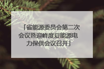 省能源委员会第二次会议暨迎峰度夏能源电力保供会议召开