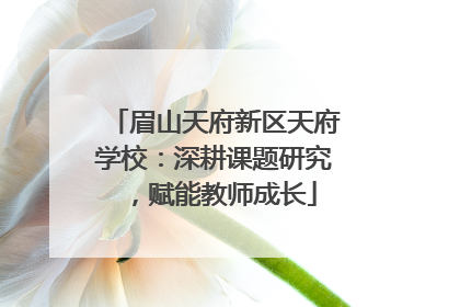 眉山天府新区天府学校：深耕课题研究，赋能教师成长