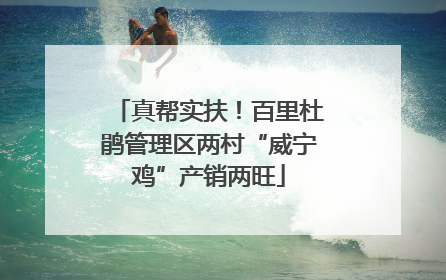真帮实扶！百里杜鹃管理区两村“威宁鸡”产销两旺