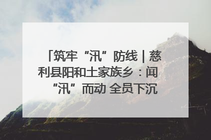筑牢“汛”防线｜慈利县阳和土家族乡：闻“汛”而动 全员下沉筑牢防汛“安全堤”