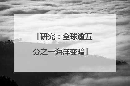 研究：全球逾五分之一海洋变暗