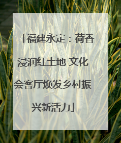 福建永定：荷香浸润红土地 文化会客厅焕发乡村振兴新活力