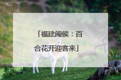 福建闽侯：百合花开迎客来