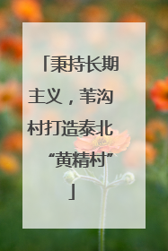 秉持长期主义，苇沟村打造泰北“黄精村”