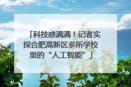 科技感满满！记者实探合肥高新区多所学校里的“人工智能”