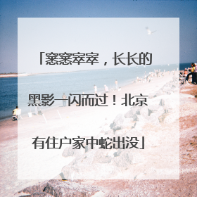 窸窸窣窣，长长的黑影一闪而过！北京有住户家中蛇出没