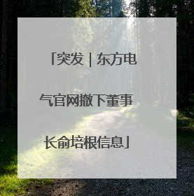 突发｜东方电气官网撤下董事长俞培根信息