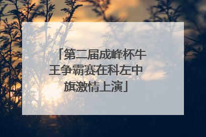 第二届成峰杯牛王争霸赛在科左中旗激情上演