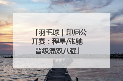 羽毛球｜印尼公开赛：程星/张驰晋级混双八强