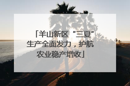 羊山新区“三夏”生产全面发力，护航农业稳产增收