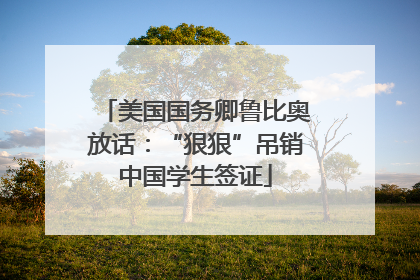 美国国务卿鲁比奥放话：“狠狠”吊销中国学生签证
