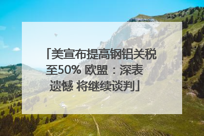 美宣布提高钢铝关税至50% 欧盟：深表遗憾 将继续谈判