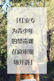 红安专为青少年的禁毒课在庭审现场开讲