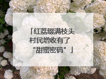 红荔缀满枝头 村民增收有了“甜蜜密码”