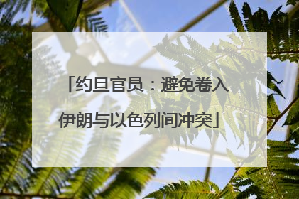 约旦官员：避免卷入伊朗与以色列间冲突