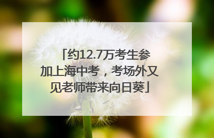 约12.7万考生参加上海中考，考场外又见老师带来向日葵