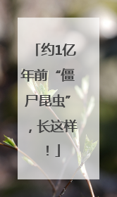 约1亿年前“僵尸昆虫”，长这样！