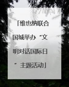 维也纳联合国城举办“文明对话国际日”主题活动