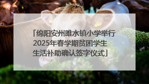 绵阳安州雎水镇小学举行2025年春学期贫困学生生活补助确认签字仪式