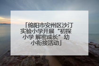 绵阳市安州区沙汀实验小学开展“初探小学 解密成长”幼小衔接活动
