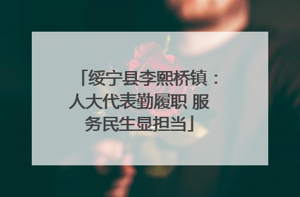 绥宁县李熙桥镇：人大代表勤履职 服务民生显担当