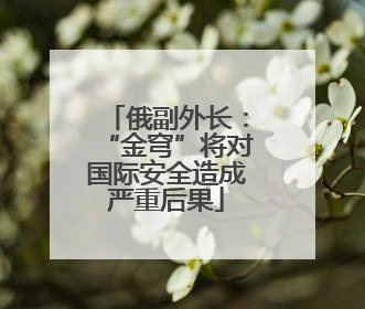 俄副外长：“金穹”将对国际安全造成严重后果