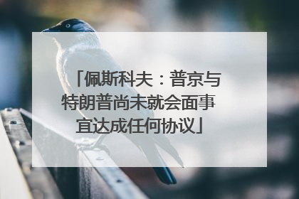 佩斯科夫：普京与特朗普尚未就会面事宜达成任何协议