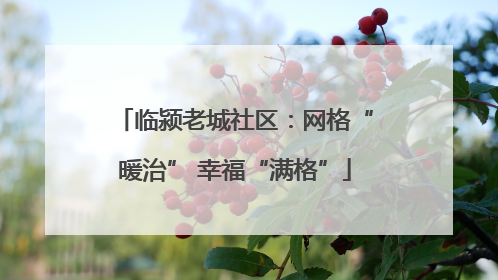 临颍老城社区：网格“暖治” 幸福“满格”