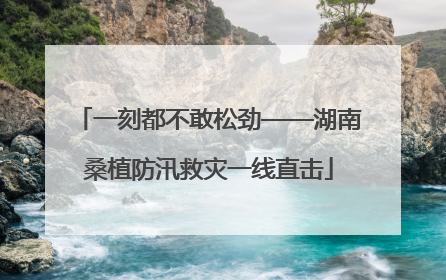 一刻都不敢松劲——湖南桑植防汛救灾一线直击