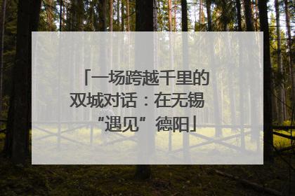 一场跨越千里的双城对话：在无锡“遇见”德阳