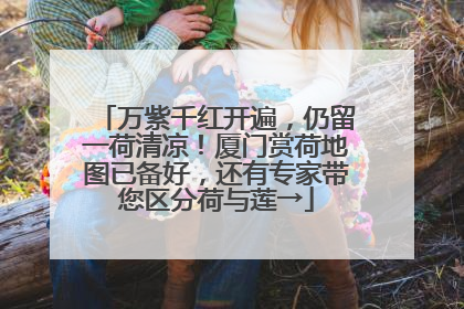 万紫千红开遍，仍留一荷清凉！厦门赏荷地图已备好，还有专家带您区分荷与莲→