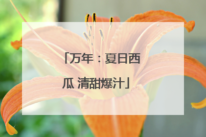 万年：夏日西瓜 清甜爆汁