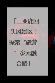 三亚鹿回头风景区：探索“旅游+”多元融合路